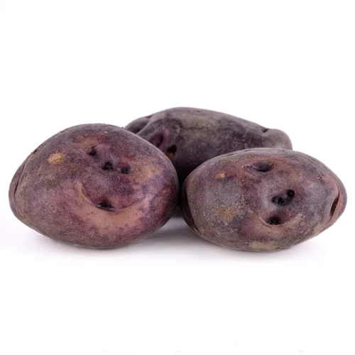 Papa negra andina