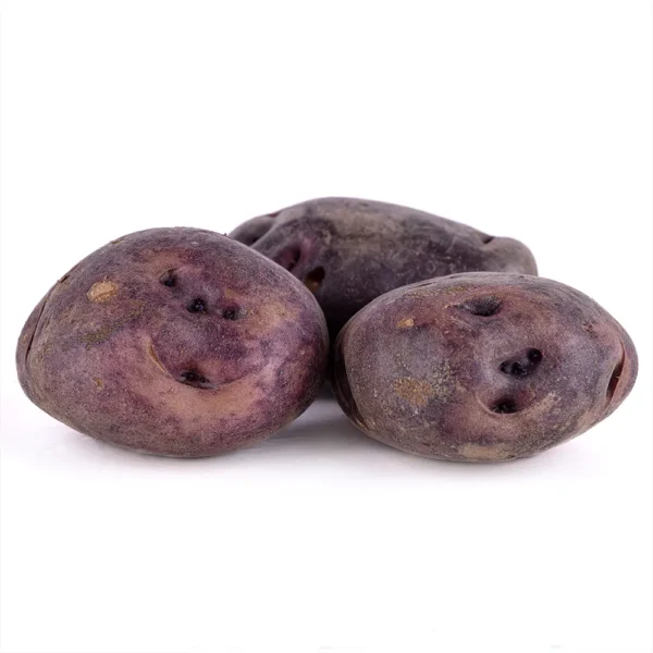 Papa negra andina
