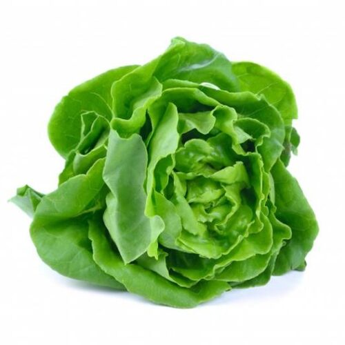 Lechuga seda