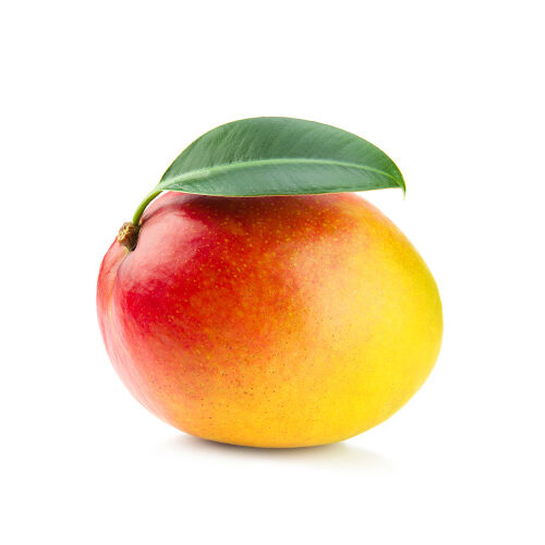 Mango kent