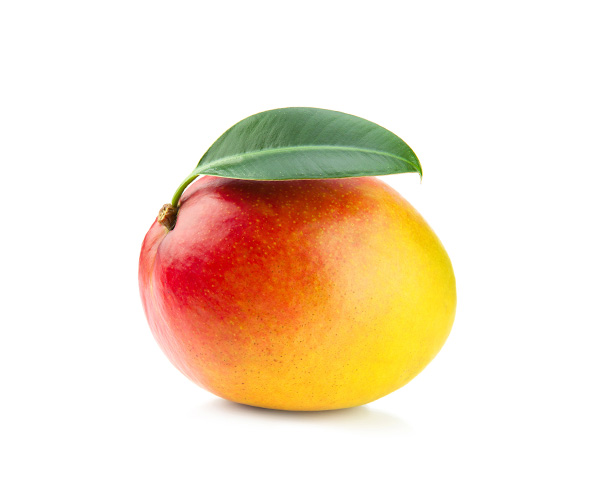 Mango kent